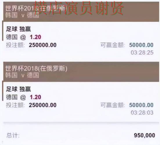 汇总世界杯投注平台：从真实体验到使用全流程解析 - 世界杯直播